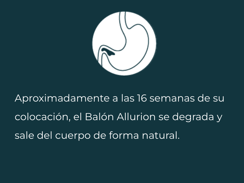 Captura-de-pantalla-2024-02-03-a-las-6.20.54 p.m.png